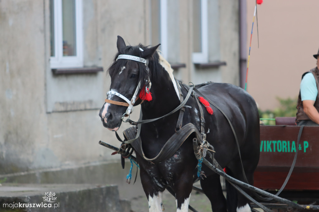 Uroczyste obchody Imienin Marii w Chełmcach już za nami [FOTO]