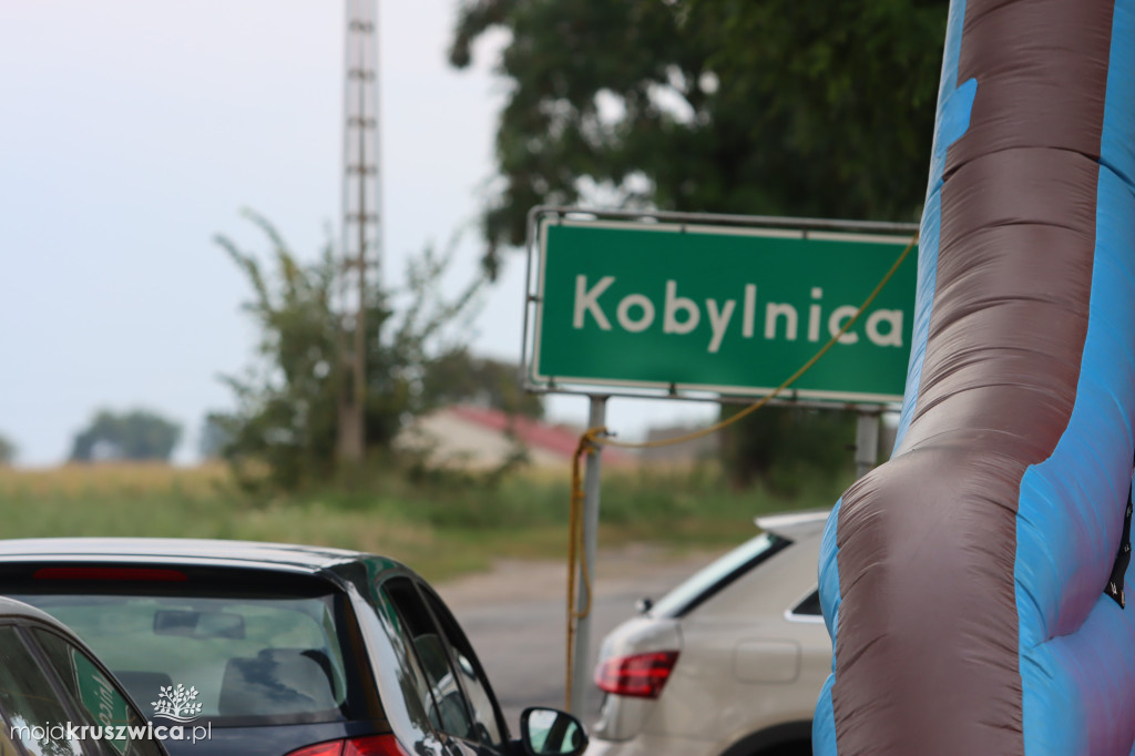 Witowice. Dziś dożynki sołeckie Sołectwa Karsk [ZDJĘCIA, VIDEO]