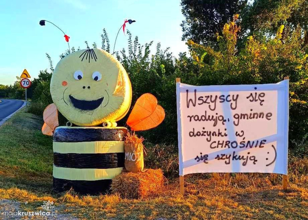 Konkurs w portalu MojaKruszwica.pl: Wybierz najlepsze ozdoby dożynkowe z Chrosna!