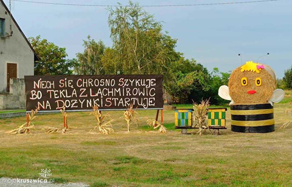 Konkurs w portalu MojaKruszwica.pl: Wybierz najlepsze ozdoby dożynkowe z Chrosna!