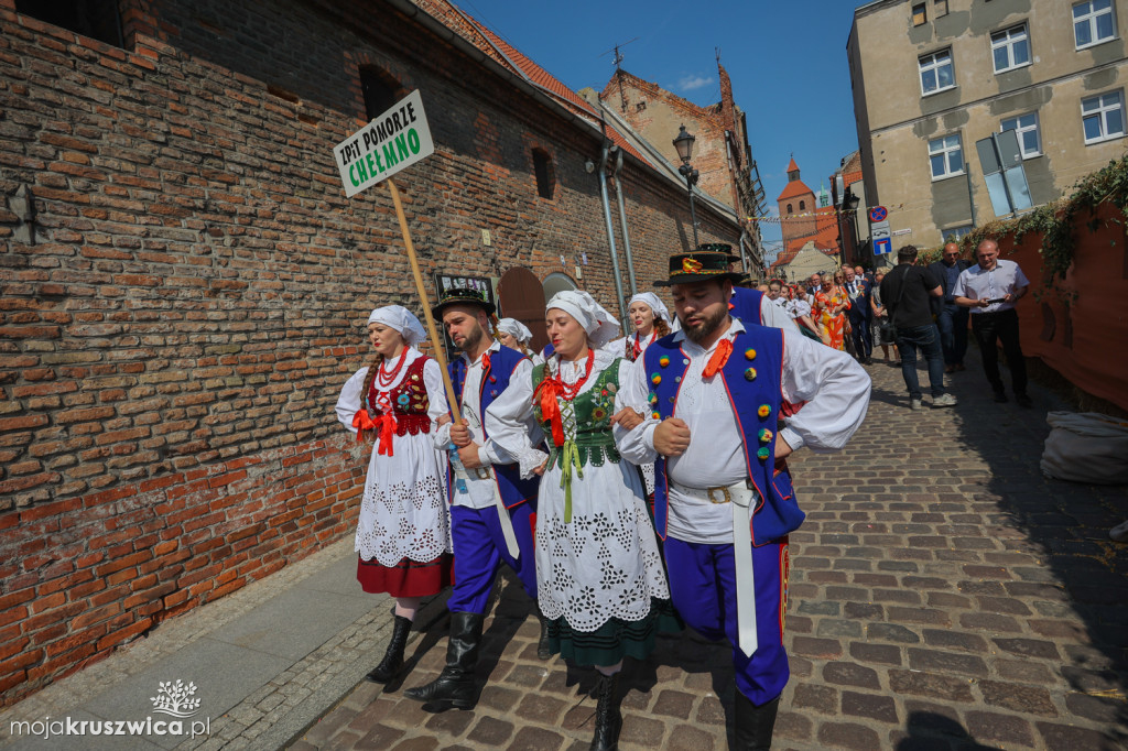 W Grudziądzu trwają regionalne obchody Święta Plonów [ZDJĘCIA]