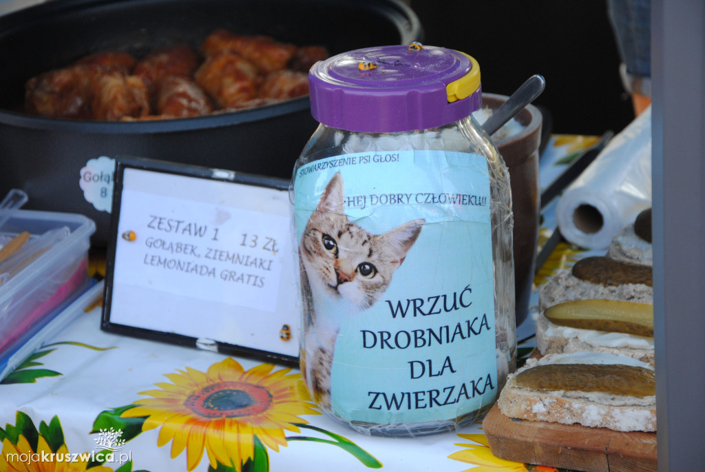Wakacje Pożegnanie Lata 2024