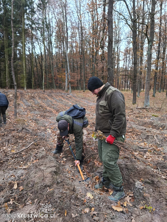 Uczniowie Technikum Leśnego w Kobylnikach sadzili las