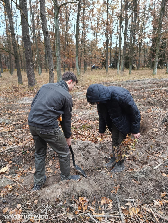 Uczniowie Technikum Leśnego w Kobylnikach sadzili las