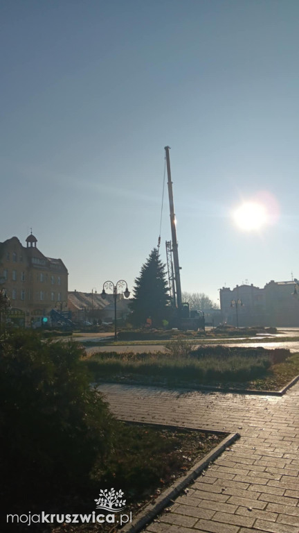 Świąteczna choinka już na rynku w Kruszwicy