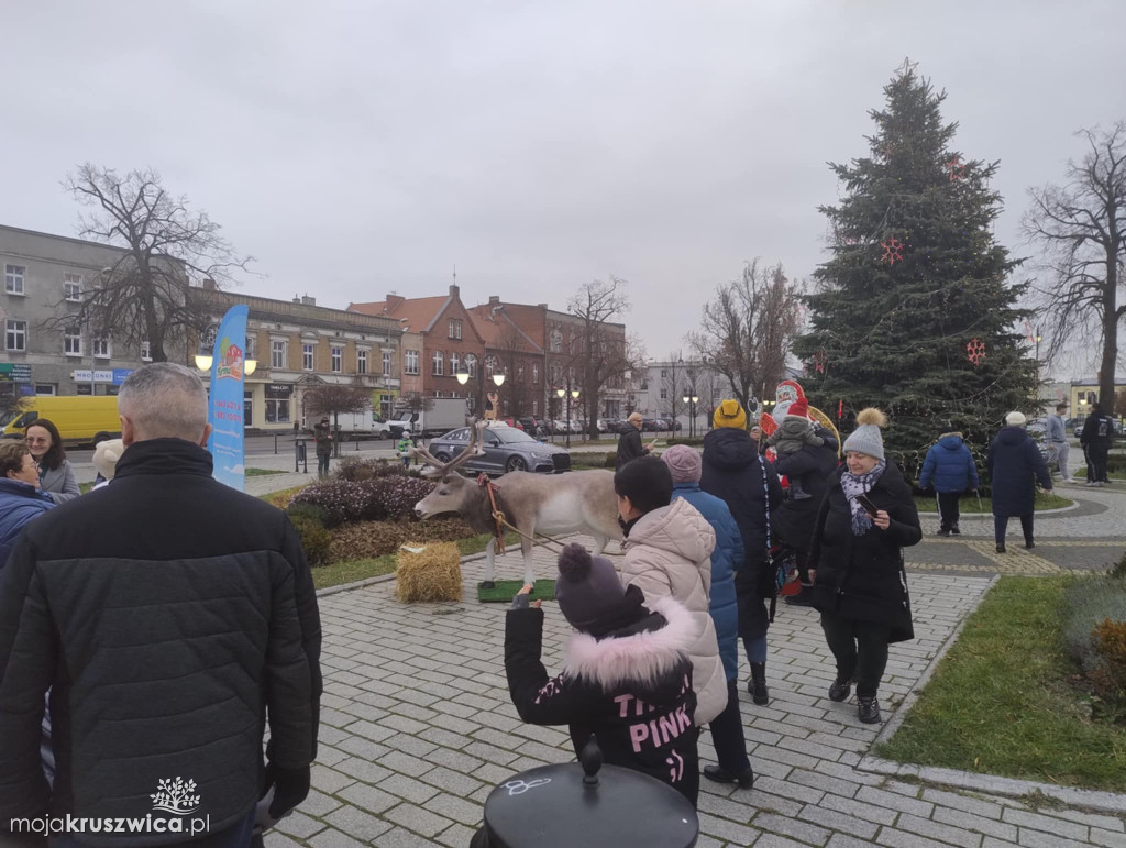 Jarmark kruszwikcich rozmaitości