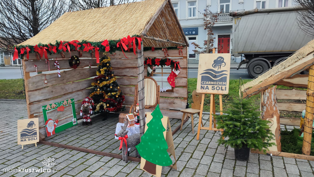 Jarmark kruszwikcich rozmaitości