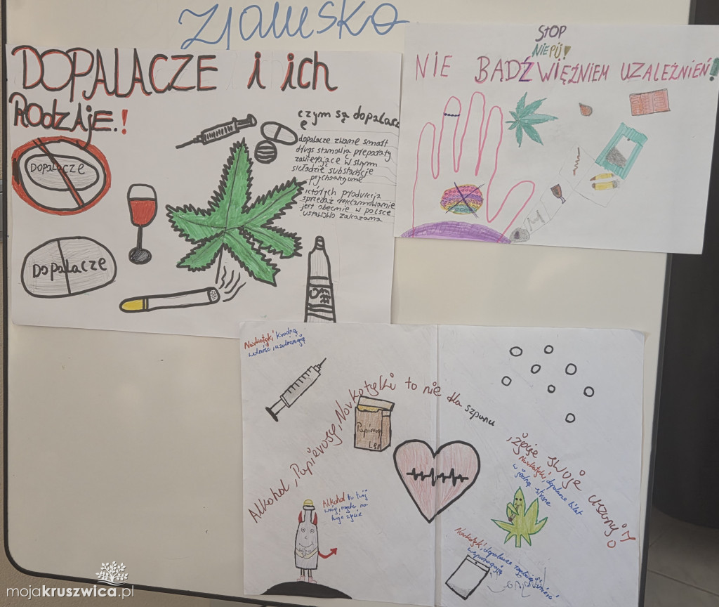 Udział MOW Kruszwica w programie „Dopalacze – trzecia strona zjawiska”.