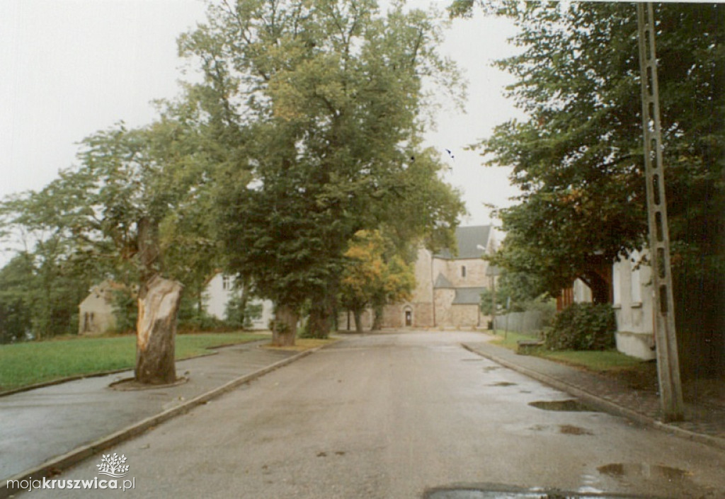 Kruszwica w 2004 roku [GALERIA ZDJĘĆ]