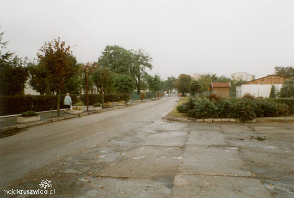 Kruszwica w 2004 roku [GALERIA ZDJĘĆ]