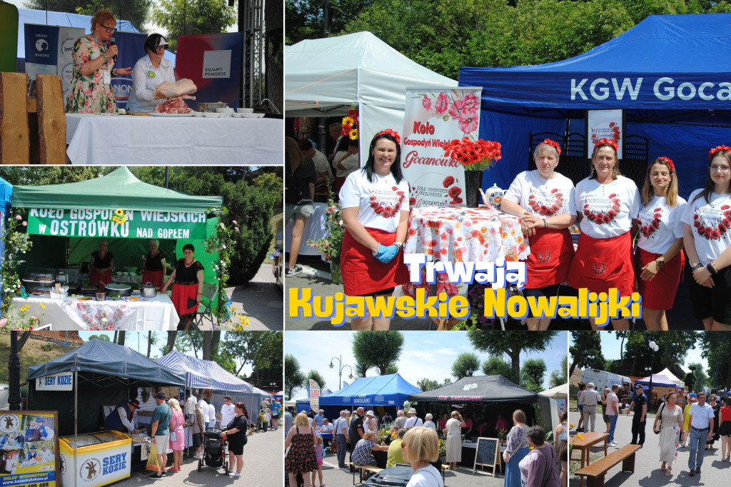 Trwają Kujawskie Nowalijki. Jakie atrakcje przewidziano? [GALERIA]