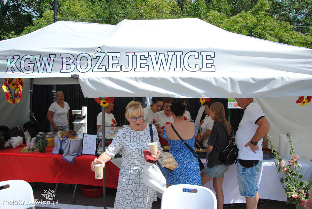 Trwają Kujawskie Nowalijki. Jakie atrakcje przewidziano? [GALERIA]