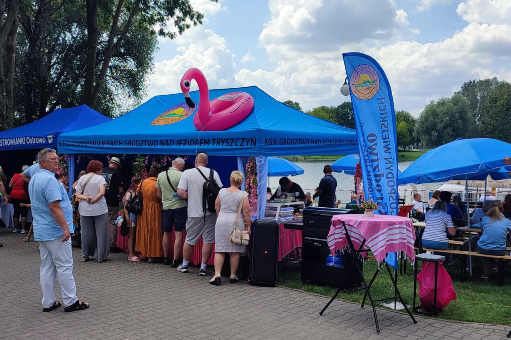 Kruszwickie Smaki i akcja DKMS pod Mysią Wieżą