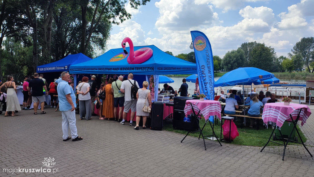 Kruszwickie Smaki i akcja DKMS pod Mysią Wieżą