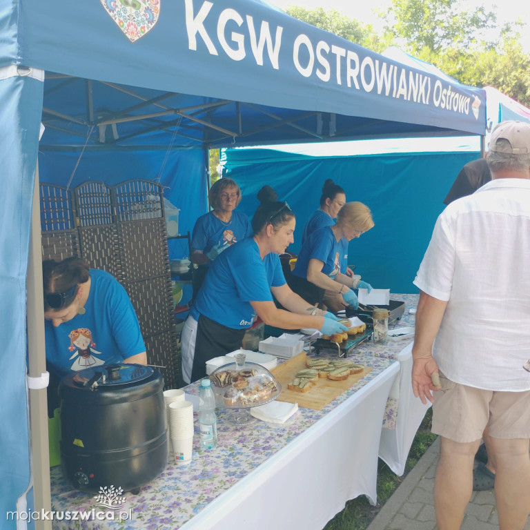 Kruszwickie Smaki i akcja DKMS pod Mysią Wieżą