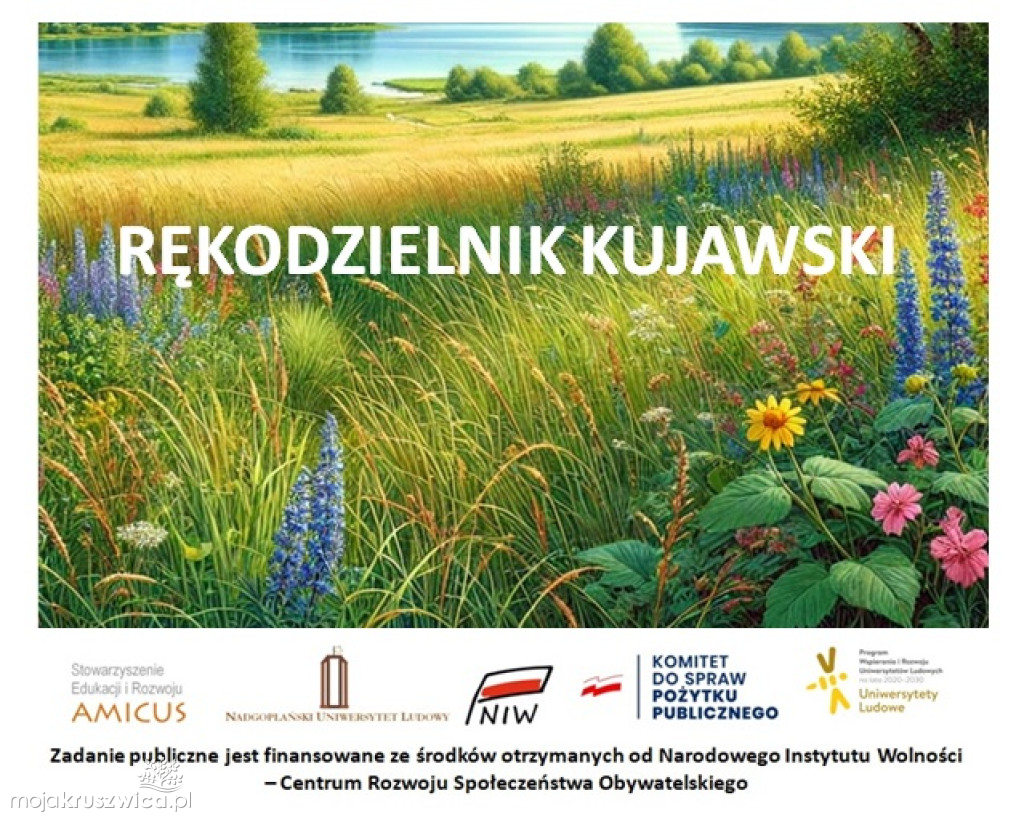 Warsztaty kaligraficzne w Ostrówku nad Gopłem [ZDJĘCIA]