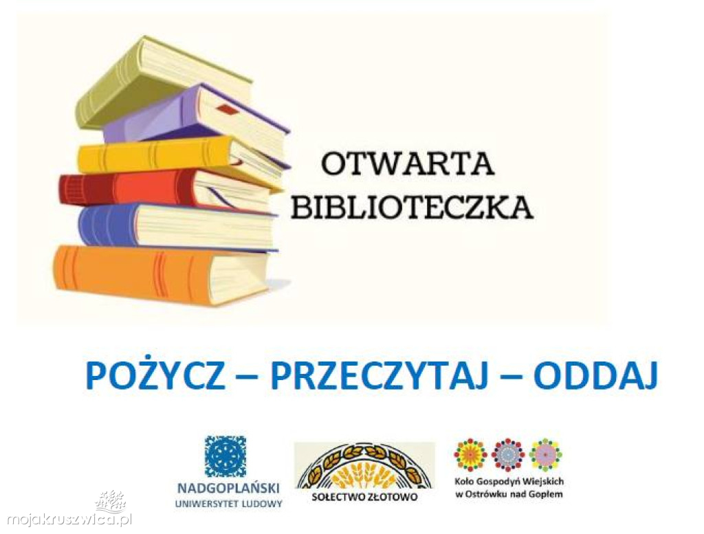 Otwarta Biblioteczka w Ostrówku nad Gopłem cieszy się popularnością