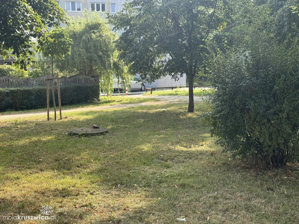 O braku porządku w Kruszwicy: nie wszystko jest winą gminy