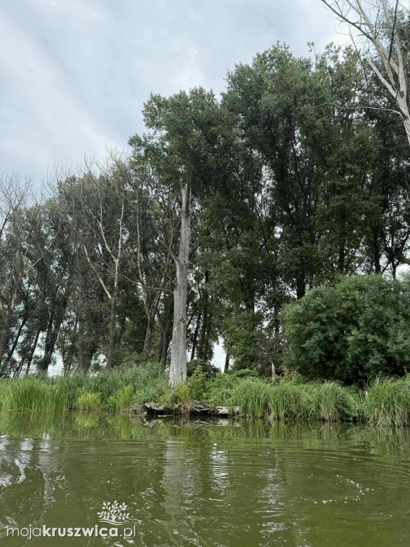 Na zakończenie wakacji odbył się spływ kajakowy