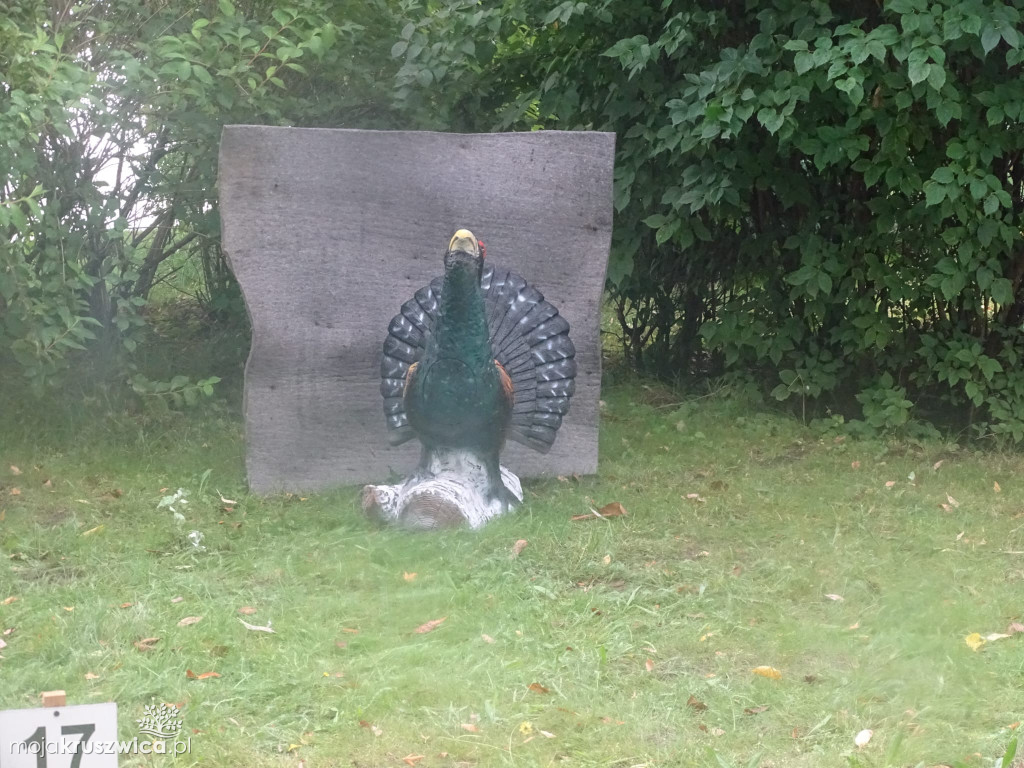 Na myszy polują tylko nad Gopłem. Trwa pierwszy dzień wydarzenia
