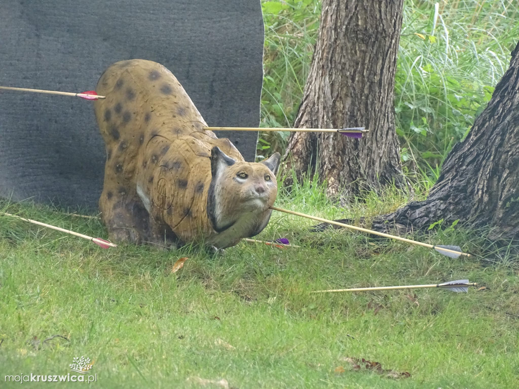 Na myszy polują tylko nad Gopłem. Trwa pierwszy dzień wydarzenia