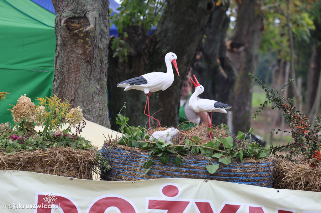 Dożynki Gminne w Ostrówku cz. 1