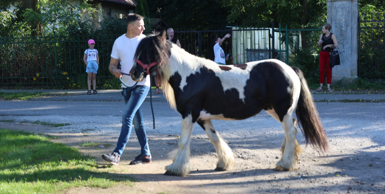 Festyn Parafialny w Polanowicach 2025