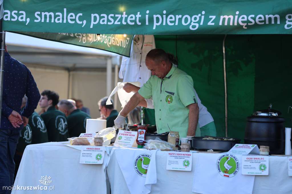 Festyn Parafialny w Polanowicach 2025