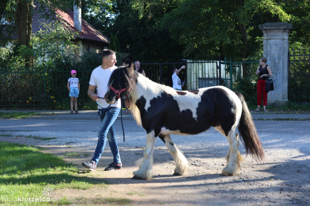 Festyn Parafialny w Polanowicach 2025
