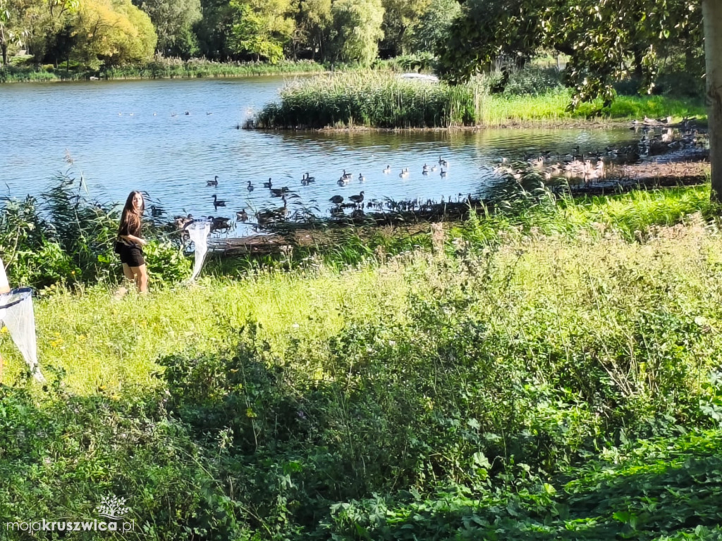 Lato w Parku 2025