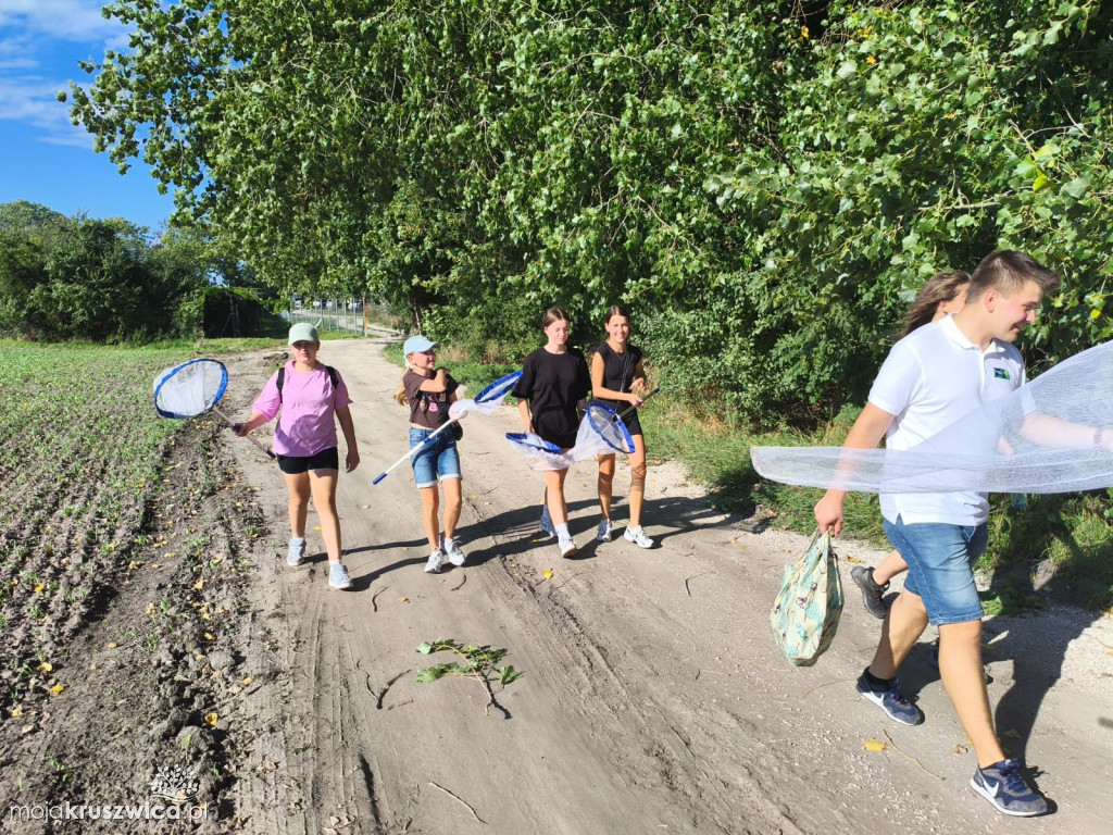 Lato w Parku 2025
