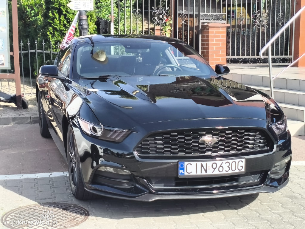 Trwa Auto Show - End of Summer w Kruszwicy [FOTO]