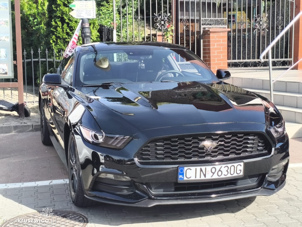 Trwa Auto Show - End of Summer w Kruszwicy [FOTO]