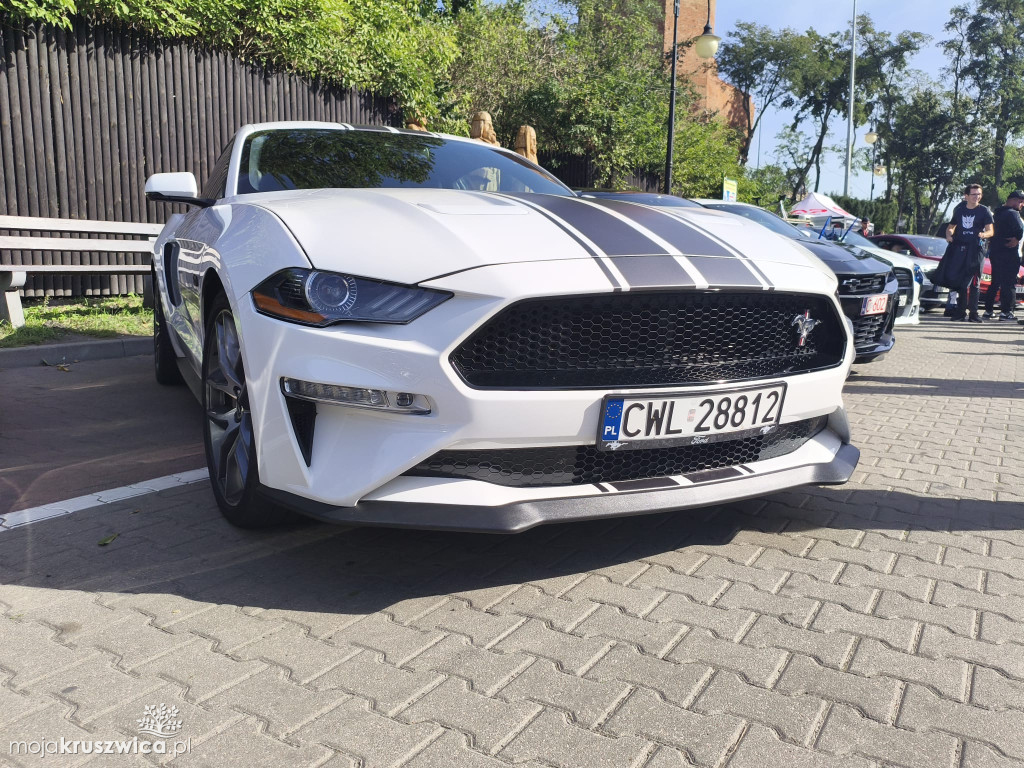 Trwa Auto Show - End of Summer w Kruszwicy [FOTO]