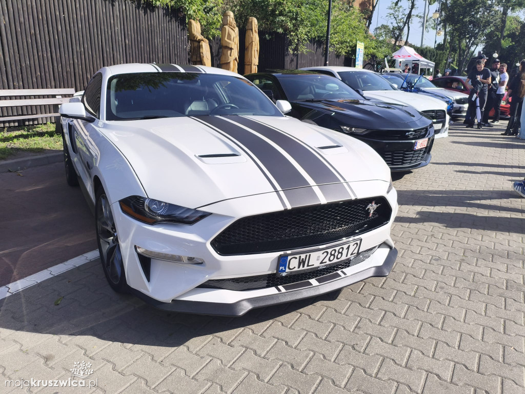 Trwa Auto Show - End of Summer w Kruszwicy [FOTO]