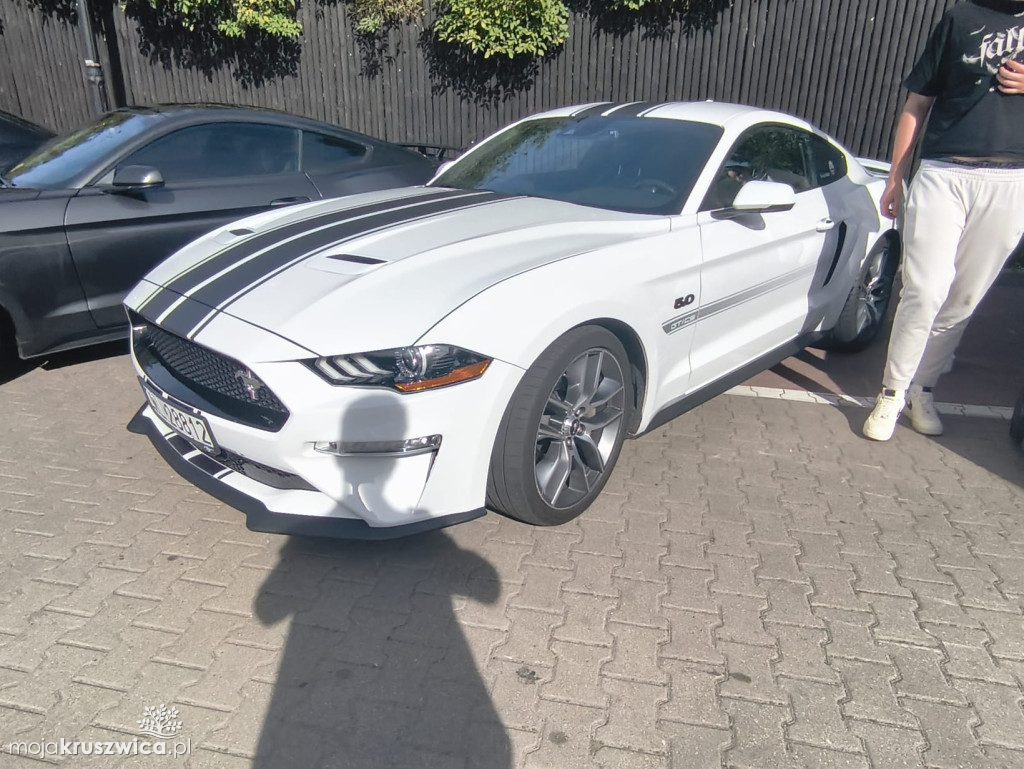 Trwa Auto Show - End of Summer w Kruszwicy [FOTO]