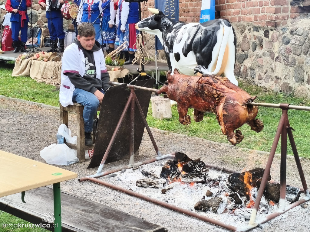 Na Wzgórzu Zamkowym zaprezentowali \