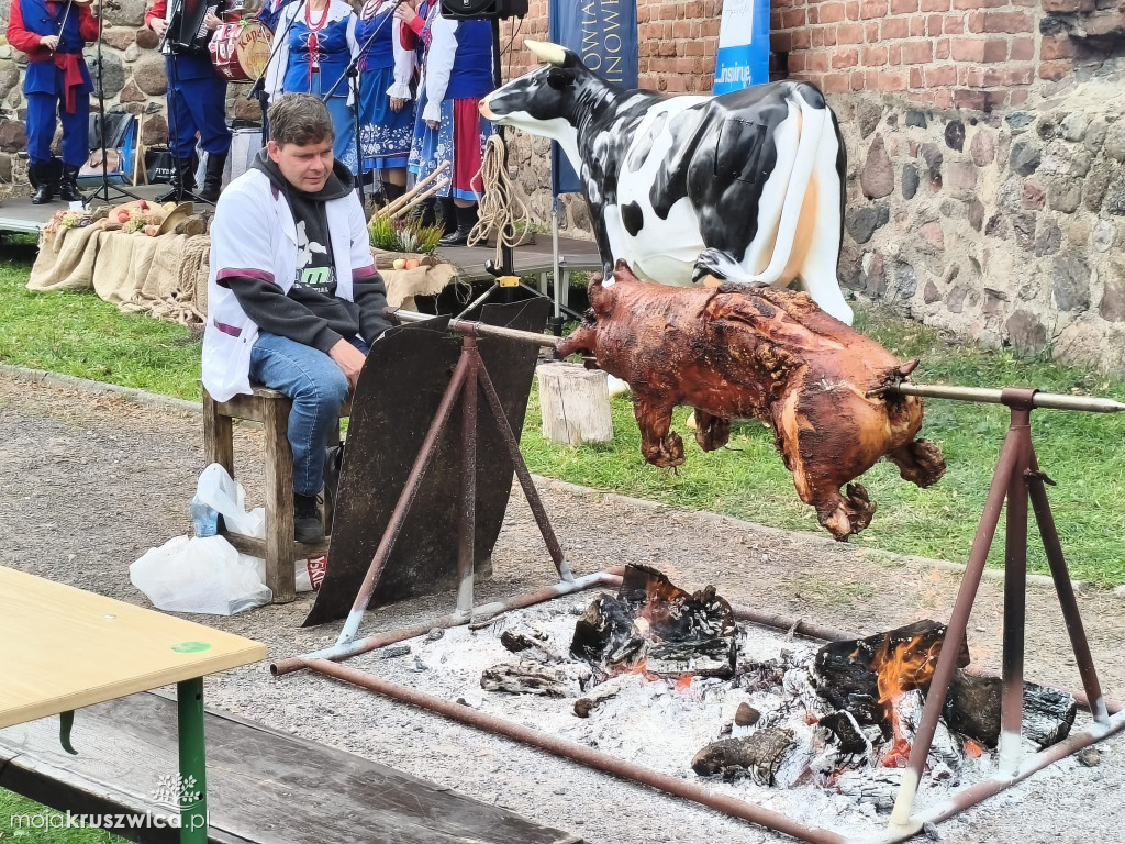 Na Wzgórzu Zamkowym zaprezentowali \
