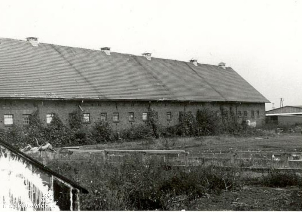 Kruszwickie adresy z przeszłości: Stajnia i obora opasów z 1920 roku na Zagoplu