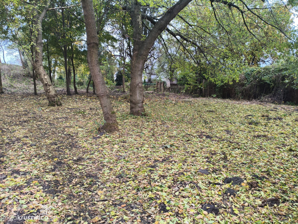 Podzamcze: Tak dziś wygląda teren pod Mysią Wieżą [ZDJĘCIA, FOTO]