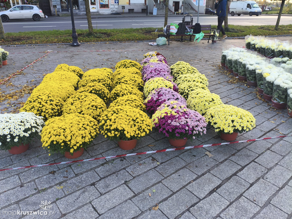 Na kruszwickim rynku trwa handel zniczami i kwiatami [FOTO]