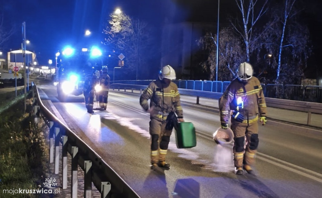 Strażacy z interwencją na Kościuszki. Chodzi o plamę oleju