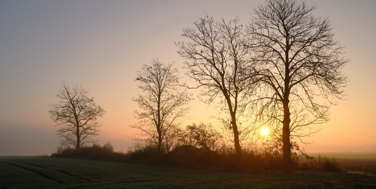 Piękno Kruszwicy jesienią. Taki obrazy zatrzymuje w obiektywie Kadr Naturalny