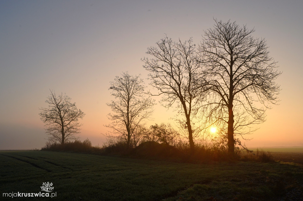 Piękno Kruszwicy jesienią. Taki obrazy zatrzymuje w obiektywie Kadr Naturalny