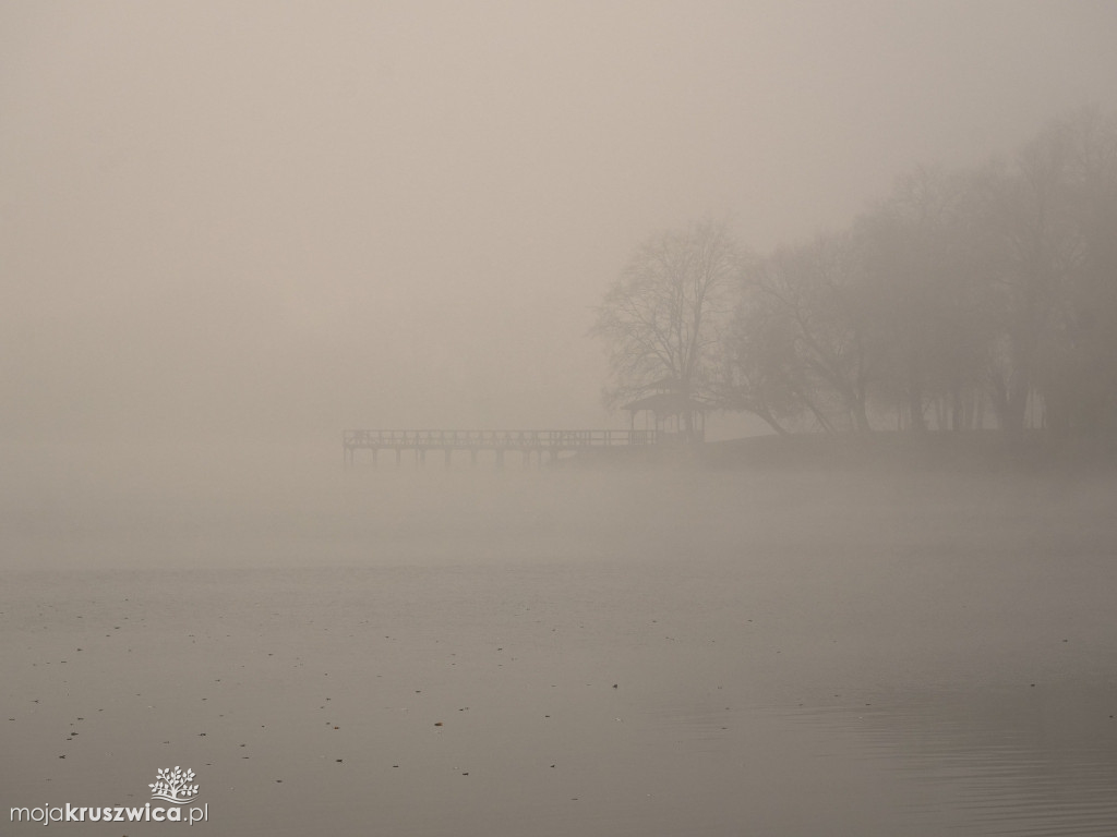 Piękno Kruszwicy jesienią. Taki obrazy zatrzymuje w obiektywie Kadr Naturalny