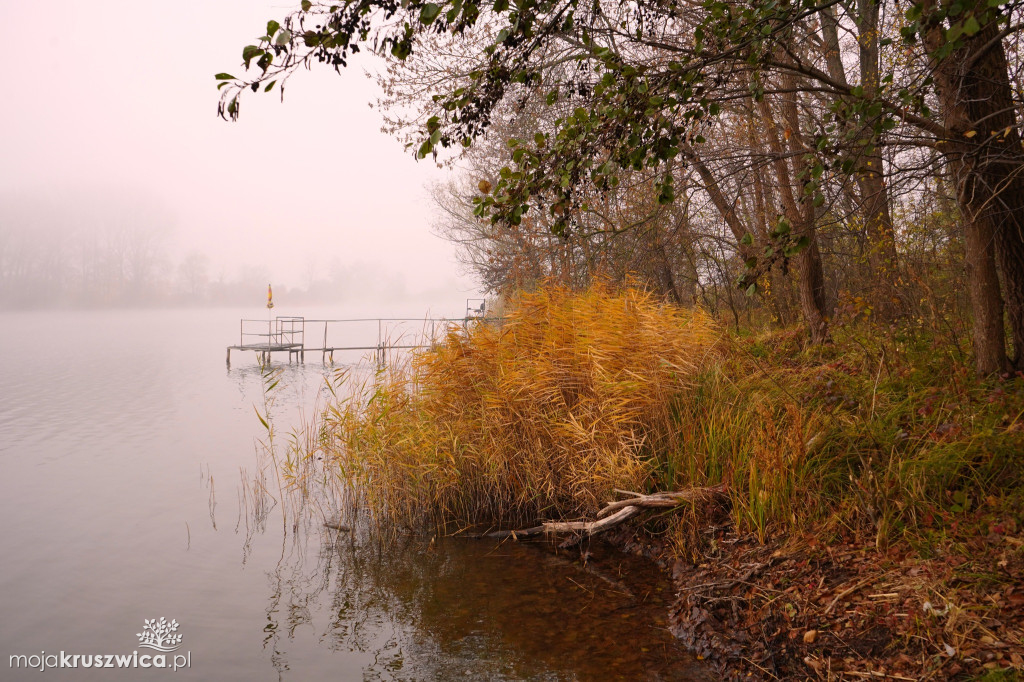 Piękno Kruszwicy jesienią. Taki obrazy zatrzymuje w obiektywie Kadr Naturalny