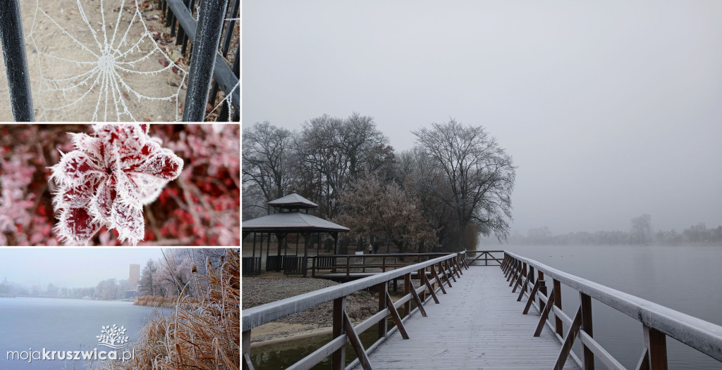 Piękno zimy nad Gopłem. Zobaczcie zdjęcia Agnieszki Bartczak!