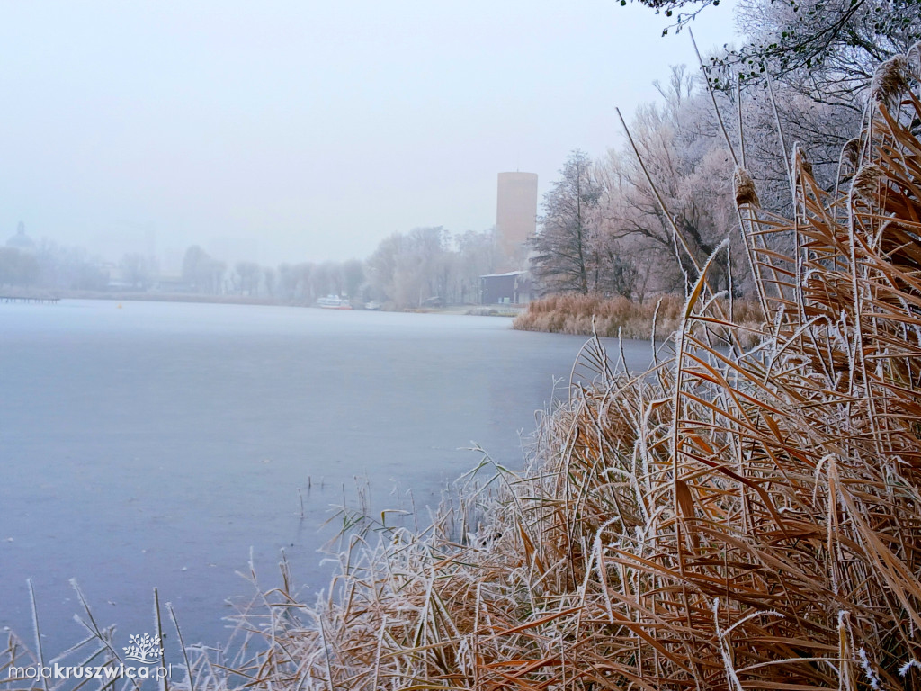 Piękno zimy nad Gopłem. Zobaczcie zdjęcia Agnieszki Bartczak!