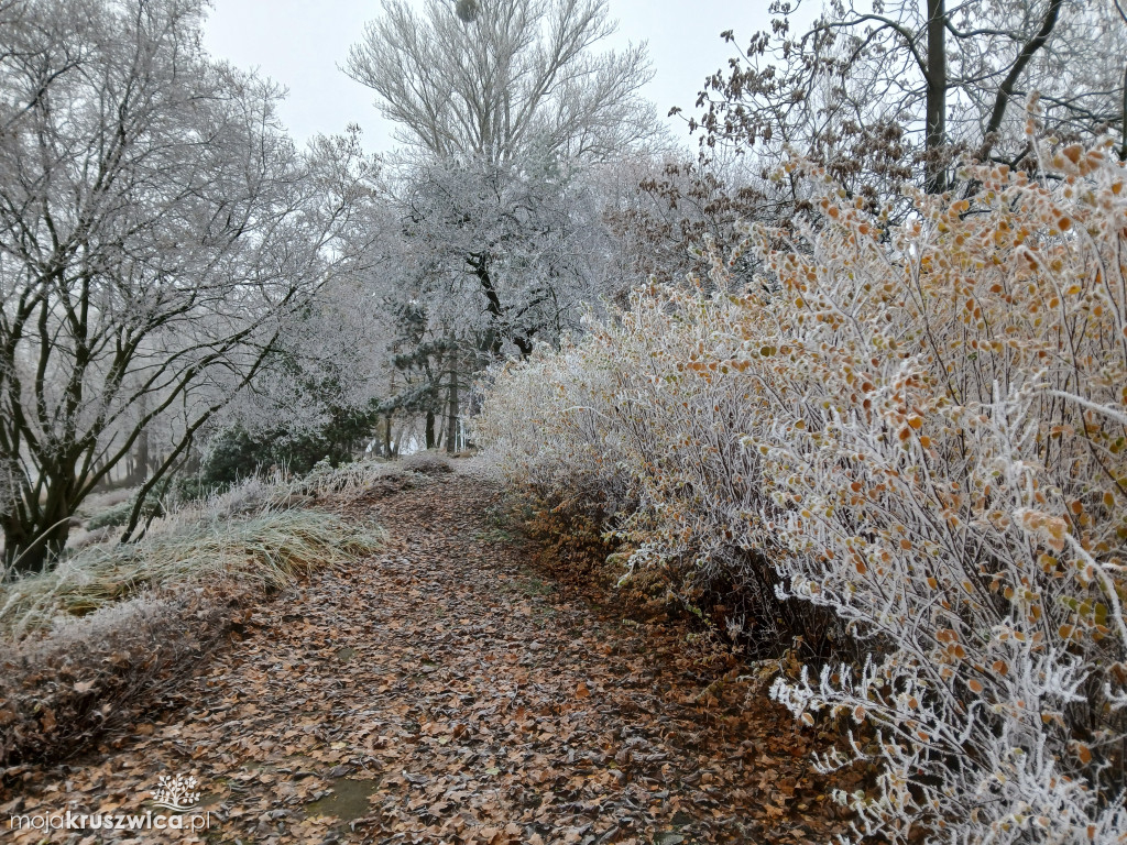 Piękno zimy nad Gopłem. Zobaczcie zdjęcia Agnieszki Bartczak!