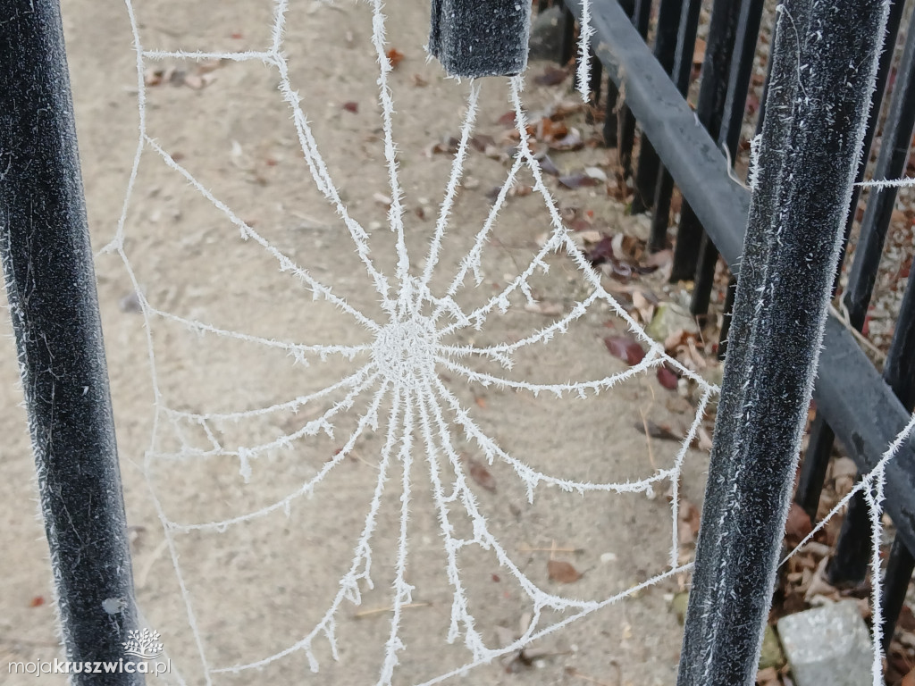 Piękno zimy nad Gopłem. Zobaczcie zdjęcia Agnieszki Bartczak!